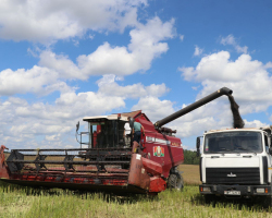 изображение_viber_2025-08-02_22-27-17-657