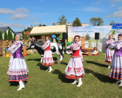 5366089589837660910 (7)