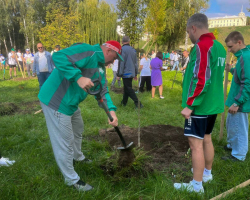 5370747653668862685 (3)