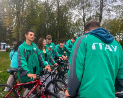 5370747653668862686 (3)