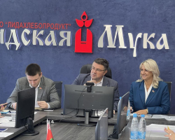 5379576401327421168 (3)