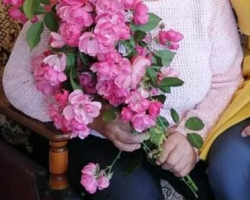 IMG-b73835a9c42d2d3ecd10a455af89ac6e-V