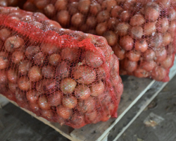 jen7m13sgo46fmcbpzewoefj80u96mam