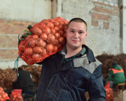 xk4ynmqp9z1ojx2a6iwphkvqyuihk3r7