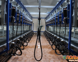 otkrytie_mtf_svityazyanka_3