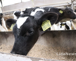 Едки-Агро МТК 2