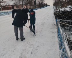 5409364215732047356 (1)