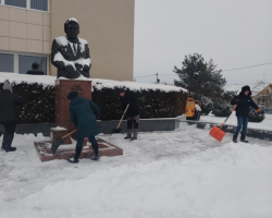 5409364215732047358 (1)