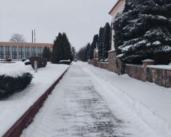 5409364215732047360 (1)