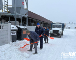 31c06fa5cfb2f73cda319d488cadfb7d_L