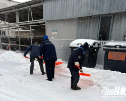 изображение_viber_2026-01-09_11-10-19-101