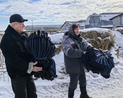 5213038606342100325 (2)