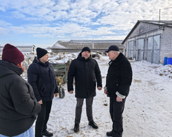 5213038606342100328 (2)