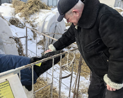 5213038606342100329 (2)