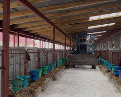 6ff036e546196f3f98a70e0862f92676