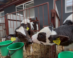 76f48bc1ef7f20fbbcd6198a98a257e4