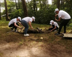 изображение_viber_2023-05-30_17-53-20-593