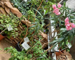 изображение_viber_2023-06-05_09-53-15-230