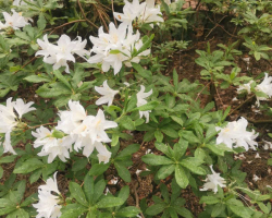 изображение_viber_2023-06-05_09-55-28-460