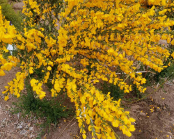 изображение_viber_2023-06-05_09-55-28-579