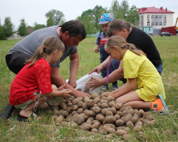 250afd6517d1f0ae804dfe148cc63590