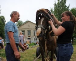 623df63884c0140bf83b2da070ad823d