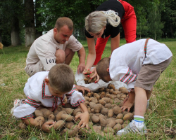 6bb0e6449a947adc99d0dbbfd641b935