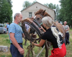 e4ee9fcb5f54e313aeb44f5d4cda005c