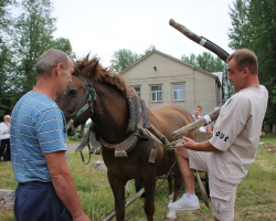 fafafa45ede2449ff9c8564d6eeb439d