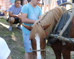 img_0750_novyj-razmer