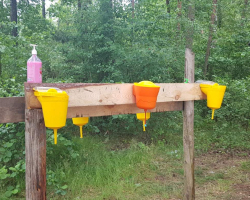 изображение_viber_2023-07-07_14-51-03-623