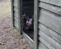 изображение_viber_2024-10-21_14-28-17-002