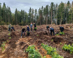 IMG-2e508645bace097ae66f31c2ed27174f-V