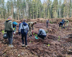 IMG-31f975a05cbd527a19de18c2d4f9de6a-V