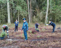 IMG-337b222426ce51276735d3eff464e28c-V