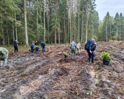 IMG-883d1b7c3e19540039ce3cf02bb711ce-V