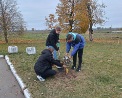 IMG-23ec1b4a9d8c20109f2447cc3b37577c-V