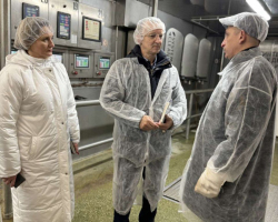 photo_2024-12-07_10-52-24