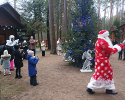 medium_1734934922881