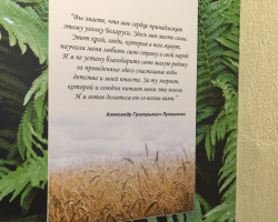 photo_2025-01-21_22-40-48