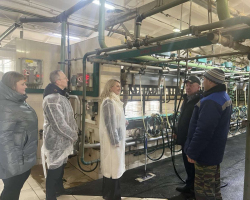 photo_2025-02-09_19-50-28