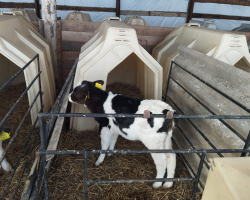 IMG-3abc7e4d1a59423732b28a3e3235a3d3-V