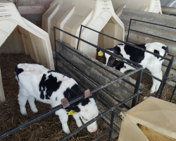 IMG-a46fad607fe6c34a7dd0a0ababde7521-V