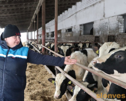 img_3234_novyj-razmer