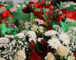 photo_46_2025-03-05_04-49-39