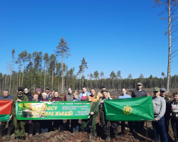 изображение_viber_2025-03-29_21-33-05-970