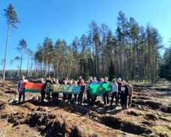 изображение_viber_2025-03-29_21-33-06-577