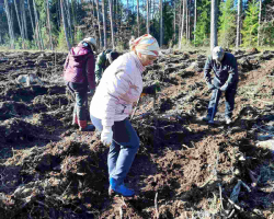 изображение_viber_2025-03-29_21-33-10-273