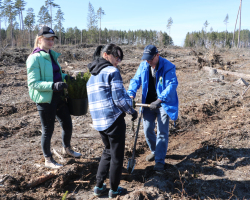 изображение_viber_2025-04-07_09-24-15-919