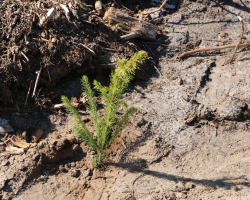 изображение_viber_2025-04-07_09-24-25-970